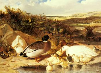 約翰 弗雷德裡尅 赫爾林 Mallard Ducks and Ducklings on a River Bank
